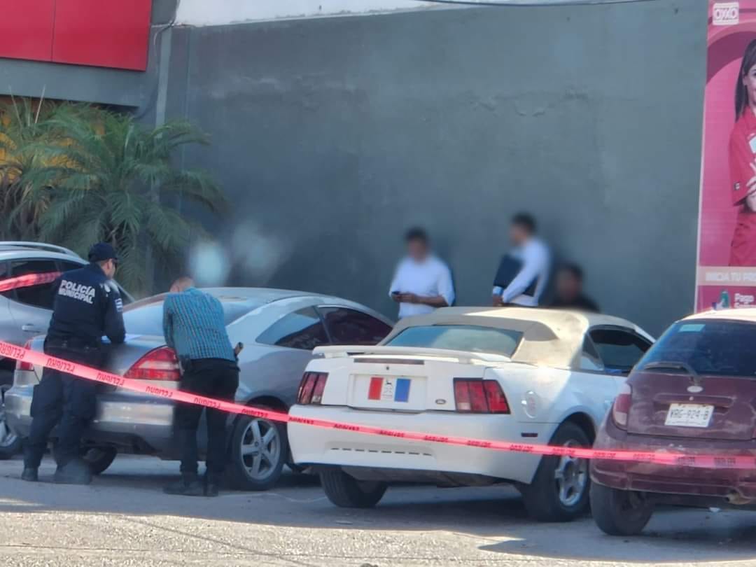 mustang