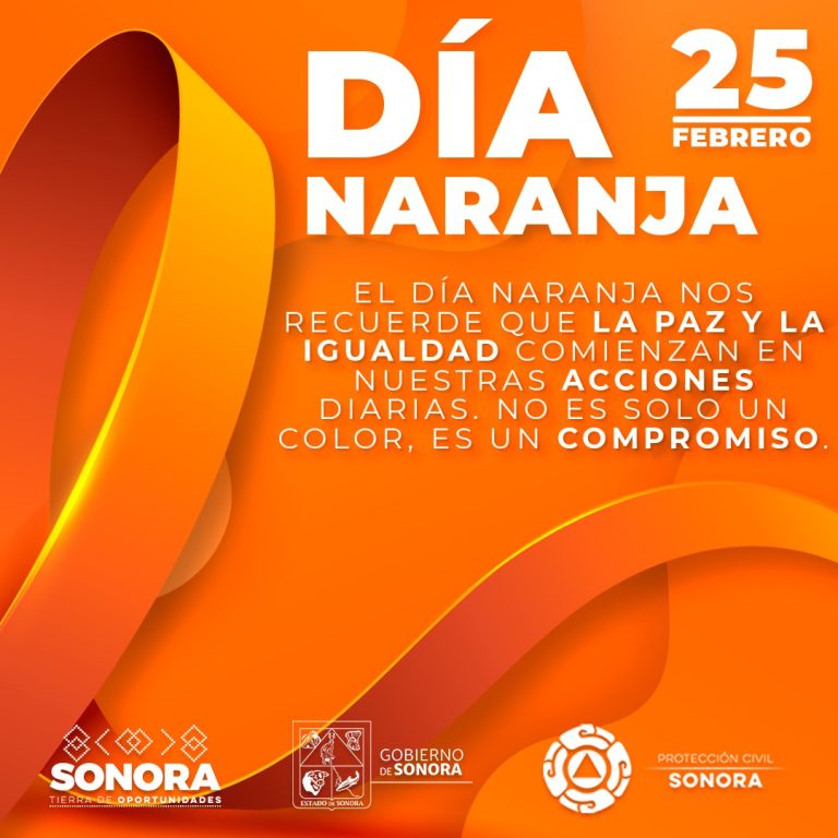 dia naranja