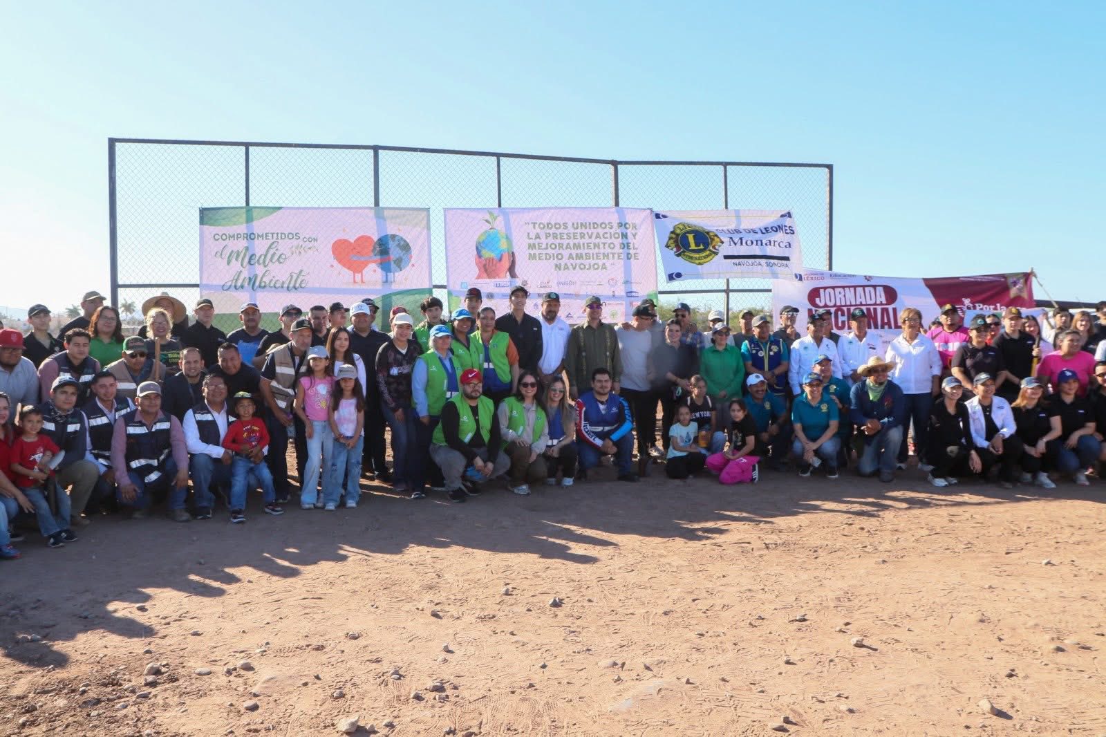 reforestan