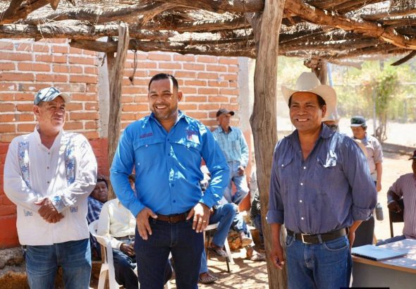 paln guarijio