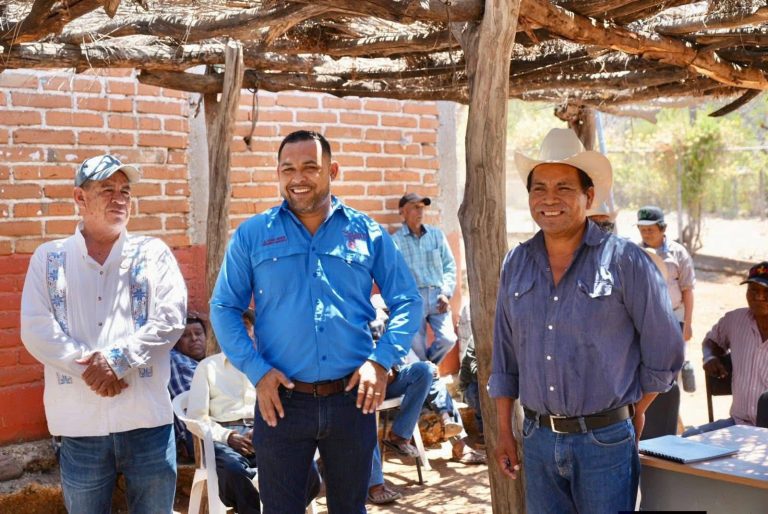 paln guarijio